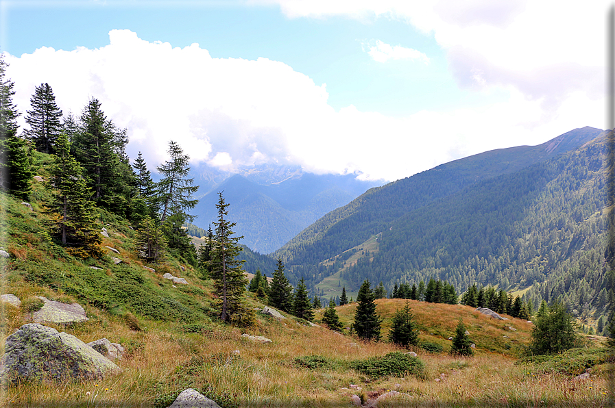 foto Da Forcella Montalon a Val Campelle